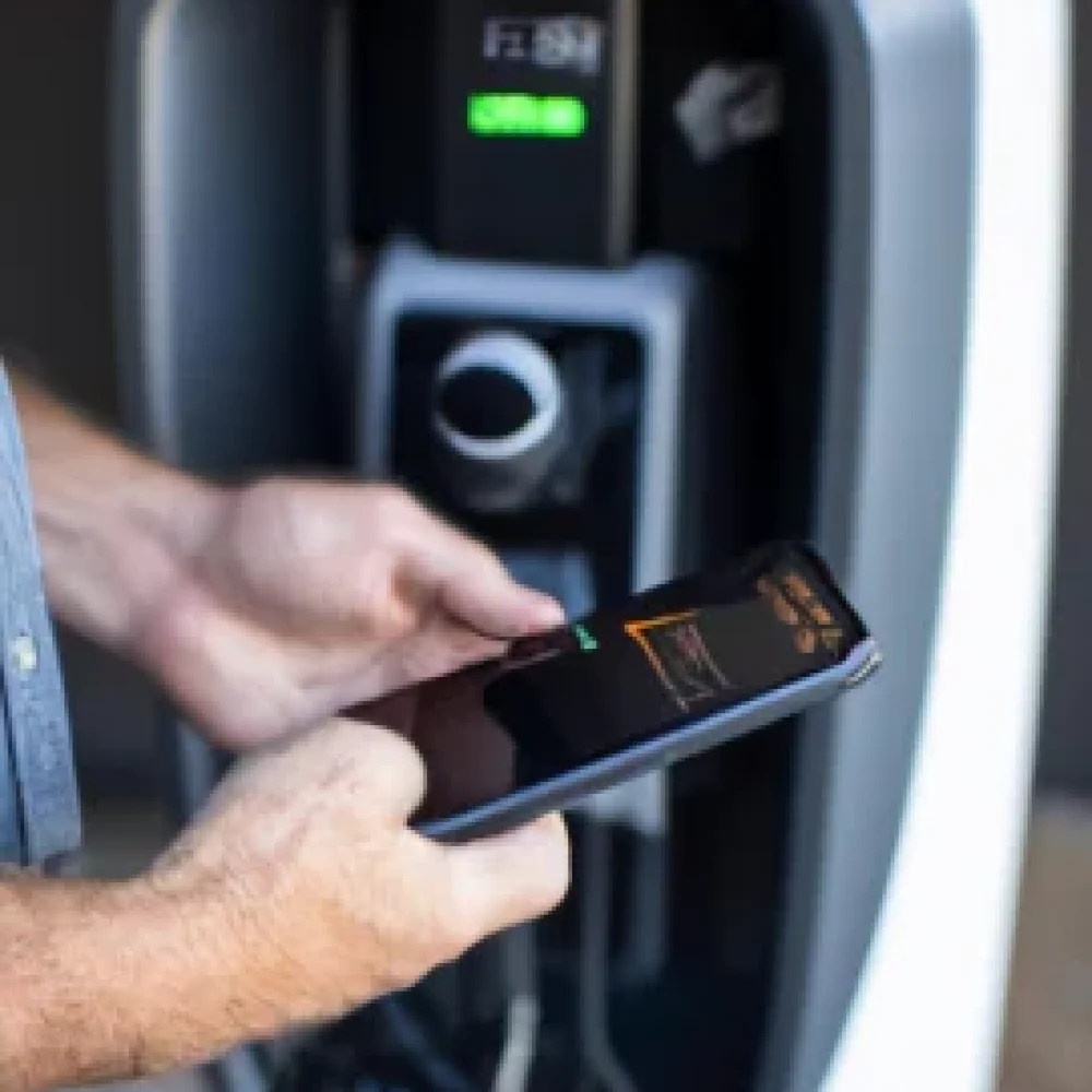 precificacao-271x300-1